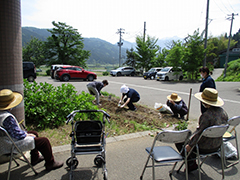 あじさい　おいも日記　season1 2