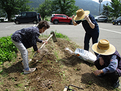 あじさい　おいも日記　season1 3