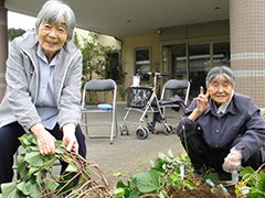 あじさい　おいも日記　season2 4