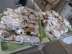 あじさい　おいも日記　season3 4