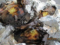 あじさい　おいも日記　season3 5