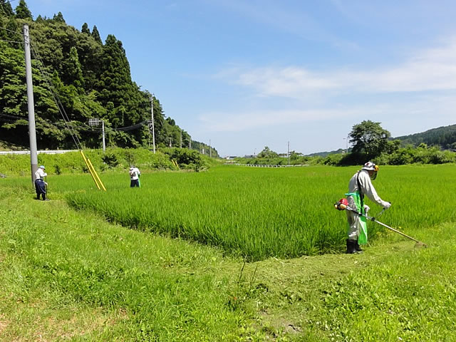 養鶏事業