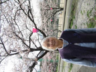 桜の花見に行きました 2