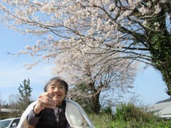 桜の花見に行きました 5