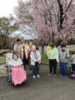 お花見ドライブ 3