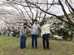 お花見ドライブ 4