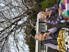 満開の桜でニコニコ笑顔 4