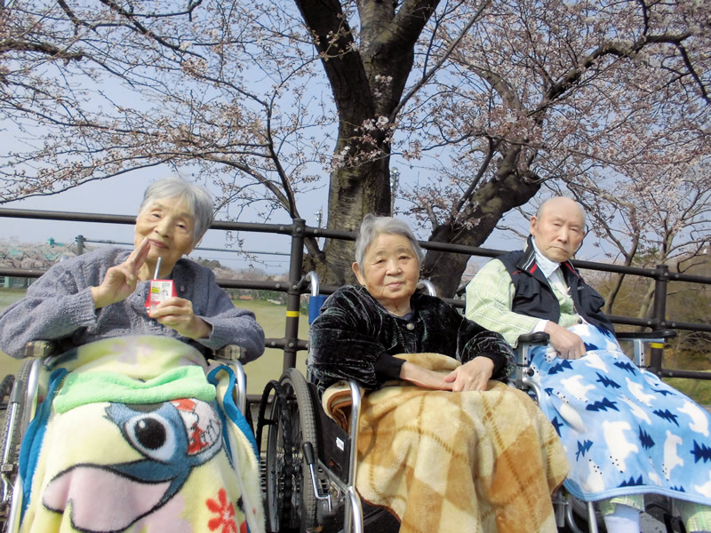 春ですね