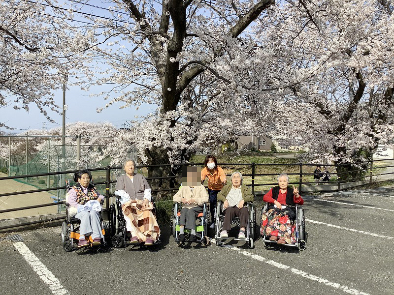 桜　お花見へ