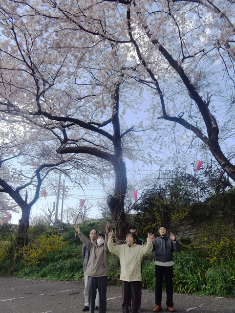 お花見会