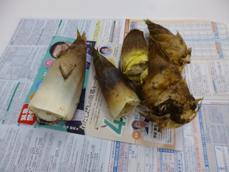 春の味覚発見 ・ 棟紹介(ひまわり棟)