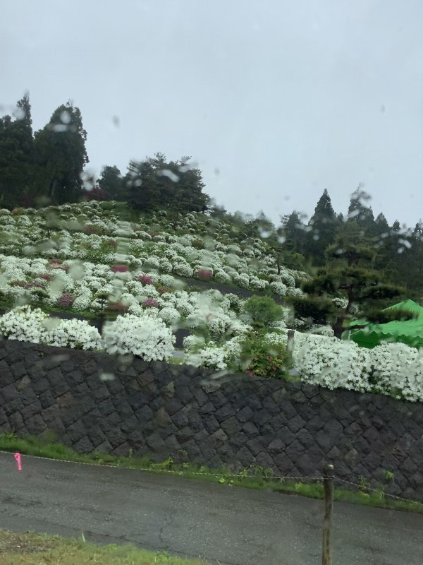 ５月の長者ヶ原棟より