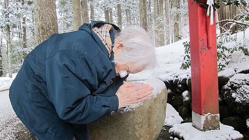 新年のご挨拶と初詣