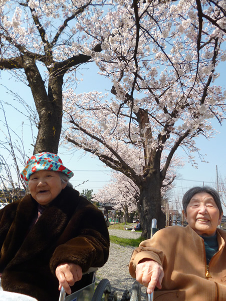 春爛漫♪