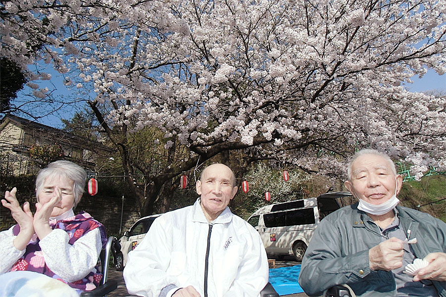日本国の花「桜」巡り