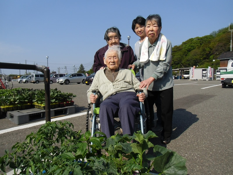 何の苗を買おうかな？