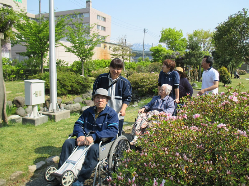 藤の花ドライブ