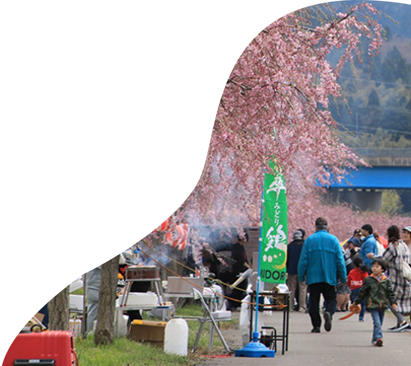 桜と雪山の景色の中で地域の催しを楽しむ人々
